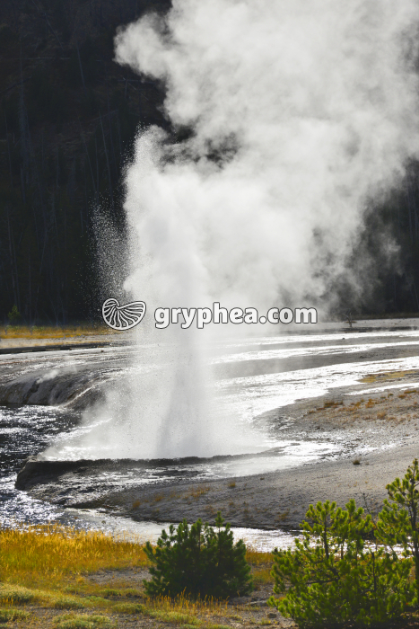 Geyser (Yellowstone NP) - gryphea.com